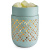Soft Mint Illumination Tart Burner