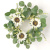 Sunflower Eucalyptus Berry Ring 4.5 Inch