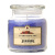 Everything Nice Jar Candles 16 oz Limited