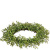 Baby Grass 6.5 Inch Candle Ring