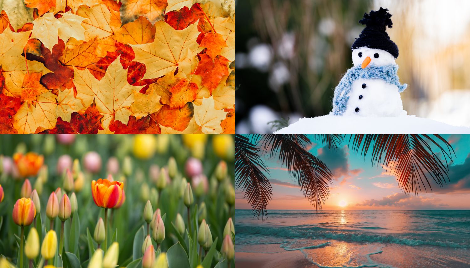 Pictures of the 4 Seasons